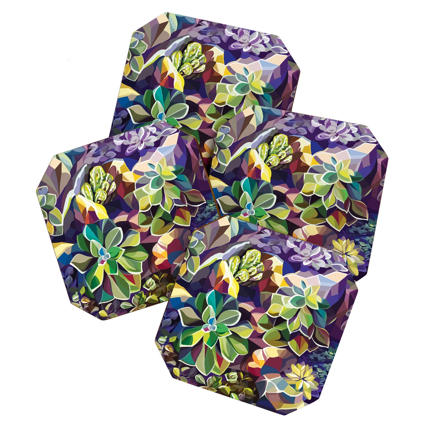 SUCCULENTS Coaster Gallery Image 1