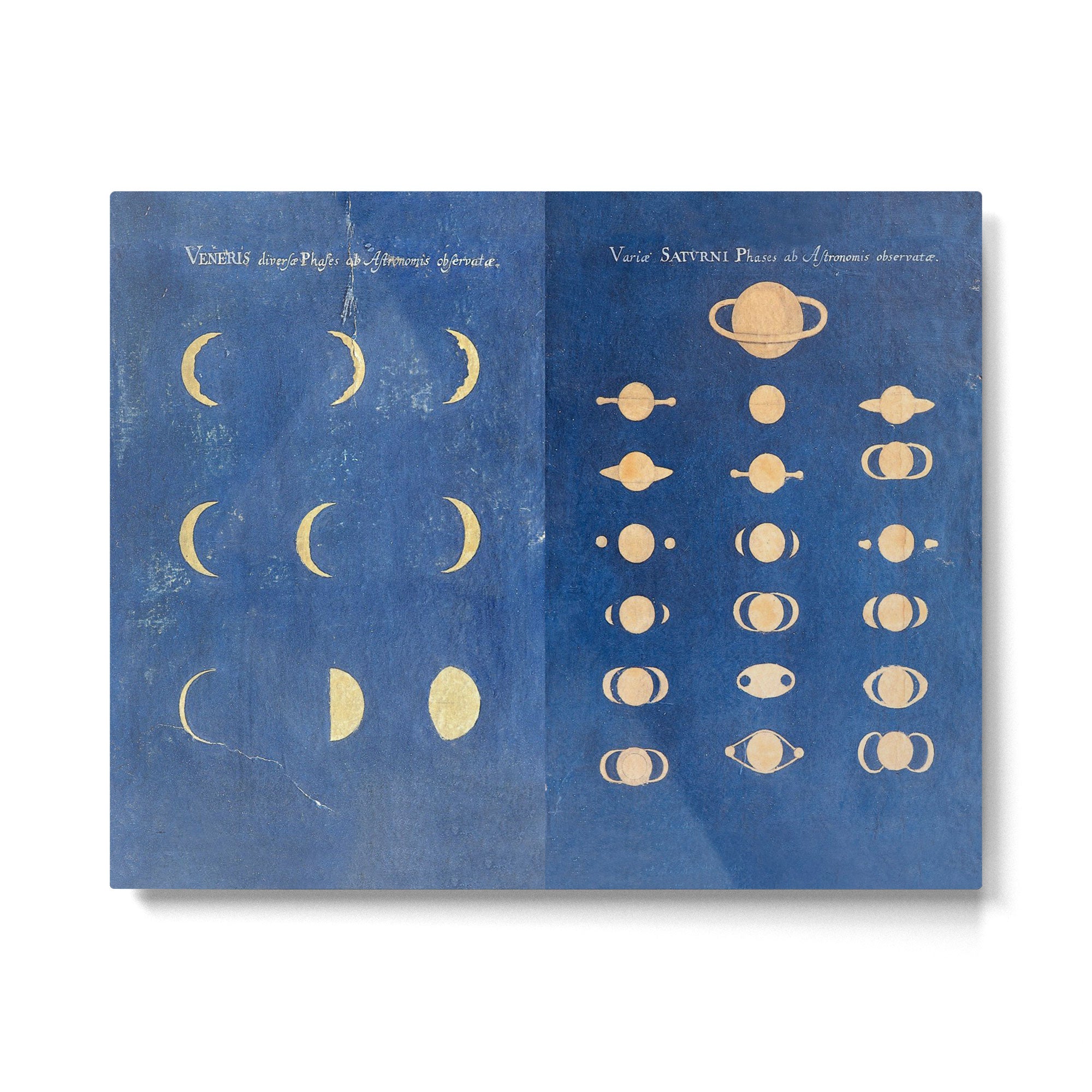 17th-Century Astronomical Art by Maria Clara Eimmart: Phases of Venus and Saturn Metal Print Gallery Image 4