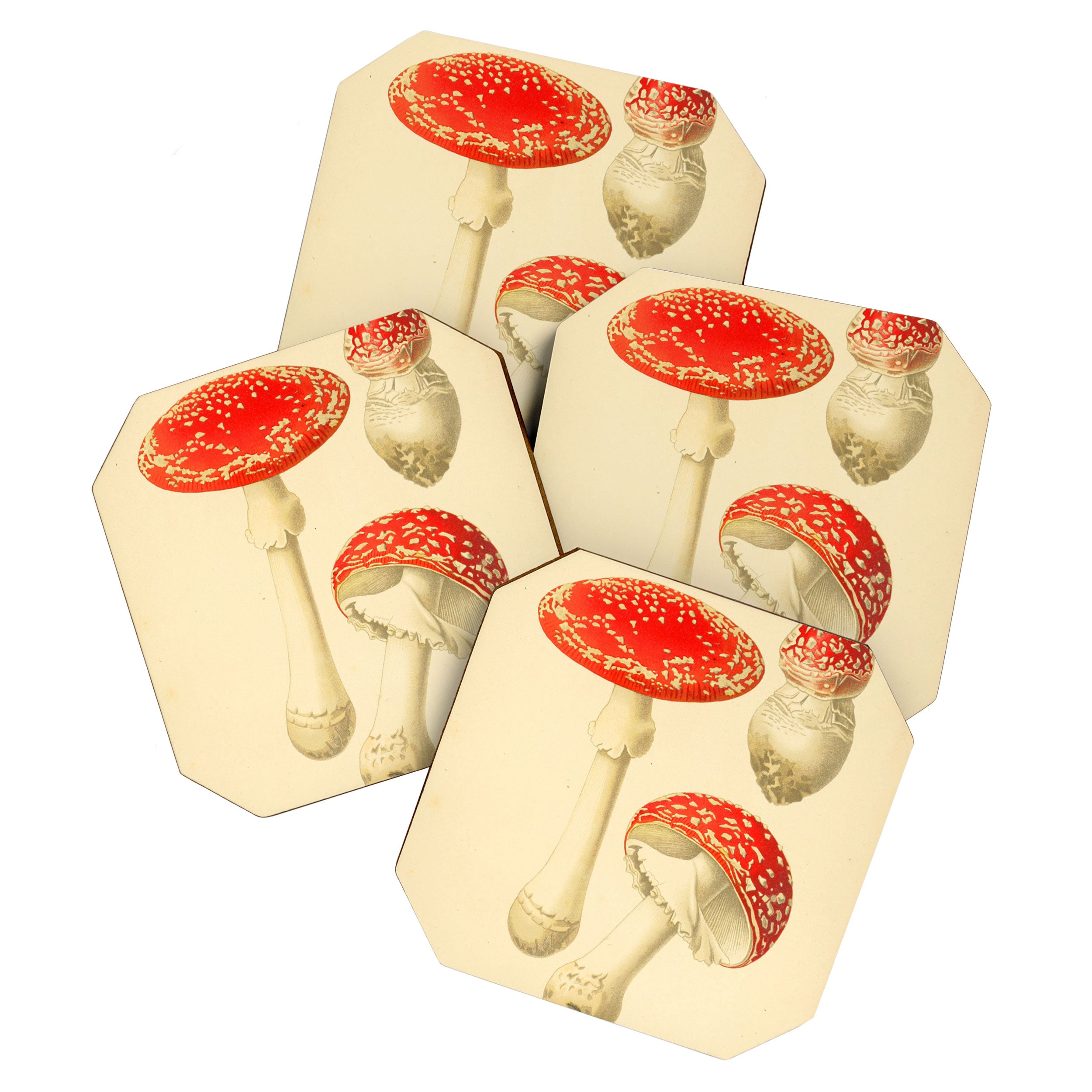 Amanita Muscaria mushroom from "Atlas des Champignons Comestibles et Vénéneux," 1891 (benefitting The Nature Conservancy) Coaster Gallery Image 1