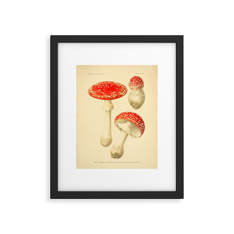 Amanita Muscaria mushroom from "Atlas des Champignons Comestibles et Vénéneux," 1891 (benefitting The Nature Conservancy) Framed Art Print Gallery Image 5