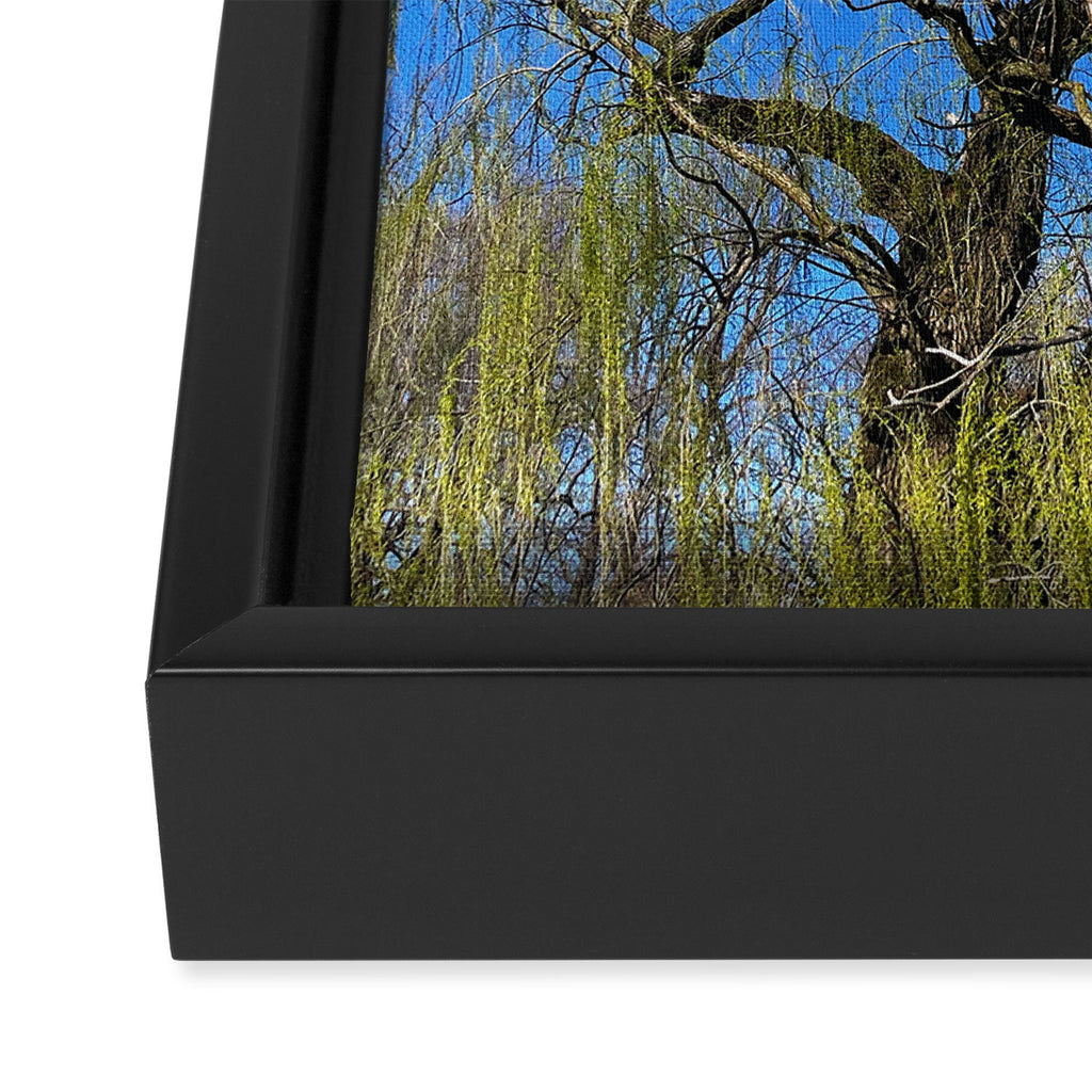 Among the Trees Framed Canvas Print Gallery Image 3