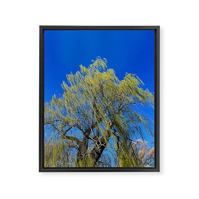 Among the Trees Framed Canvas Print Gallery Image 1
