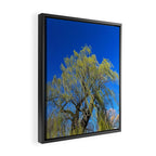 Among the Trees Framed Canvas Print Gallery Image 2
