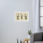 Anatomy of the inner ear (1907) Art Print Gallery Image 3