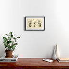 Anatomy of the inner ear (1907) Framed Art Print Gallery Image 2
