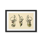 Anatomy of the inner ear (1907) Framed Art Print Gallery Image 2
