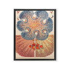 Anemones from âThe Great Barrier Reef of Australiaâ by William Saville Kent, 1893 Framed Canvas Print Gallery Image 6