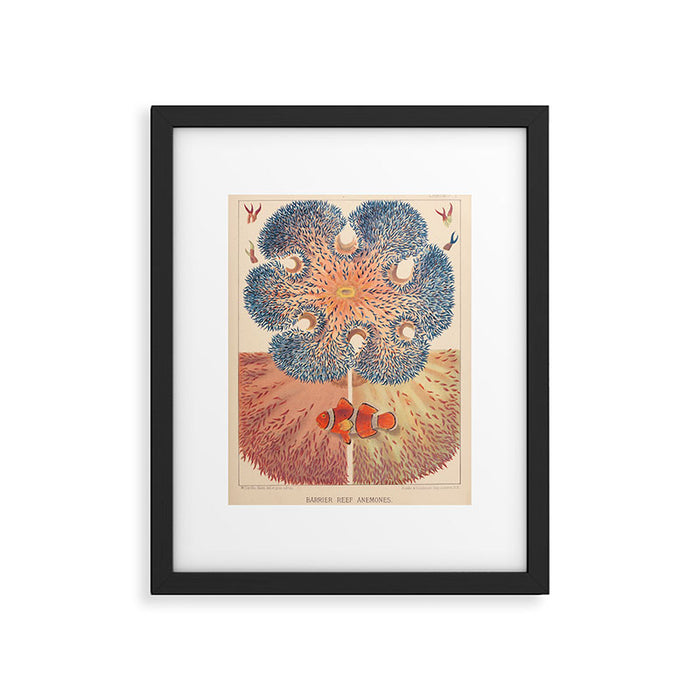 Anemones from âThe Great Barrier Reef of Australiaâ by William Saville Kent, 1893 Framed Art Print Gallery Image 1