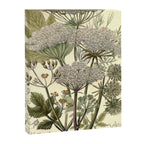 Angelica by Anne Pratt, 1800s (benefitting The Nature Conservancy) Canvas Print Gallery Image 6