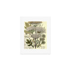 Angelica by Anne Pratt, 1800s (benefitting The Nature Conservancy) Art Print Gallery Image 1