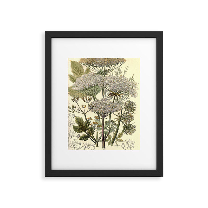 Angelica by Anne Pratt, 1800s (benefitting The Nature Conservancy) Framed Art Print Gallery Image 5
