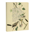 Anger # Great American Shrike Divination from # An Almanac of Birds # Divinations for Uncertain Days Canvas Print Gallery Image 6