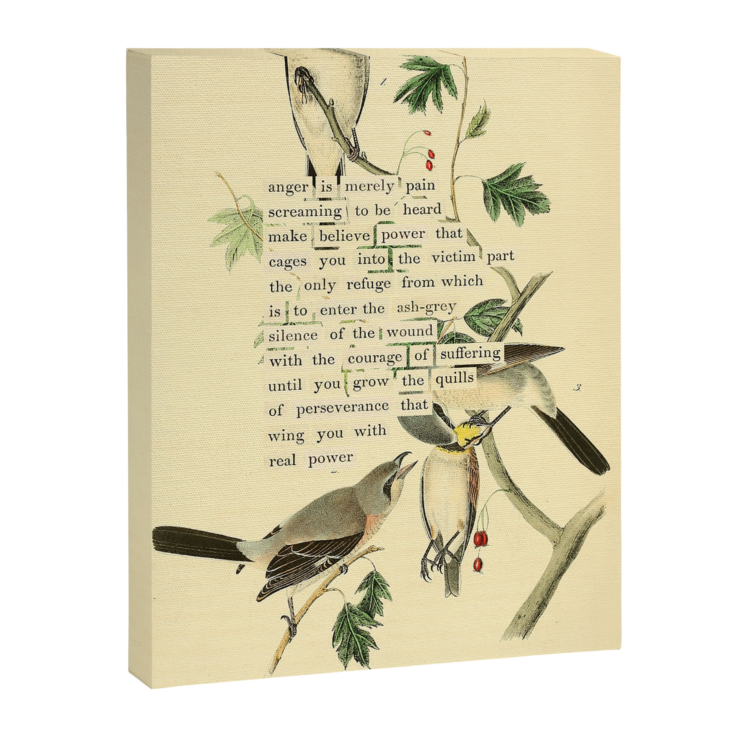 Anger # Great American Shrike Divination from # An Almanac of Birds # Divinations for Uncertain Days Canvas Print Gallery Image 6