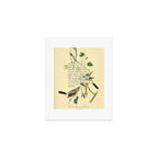 Anger # Great American Shrike Divination from # An Almanac of Birds # Divinations for Uncertain Days Art Print Gallery Image 1