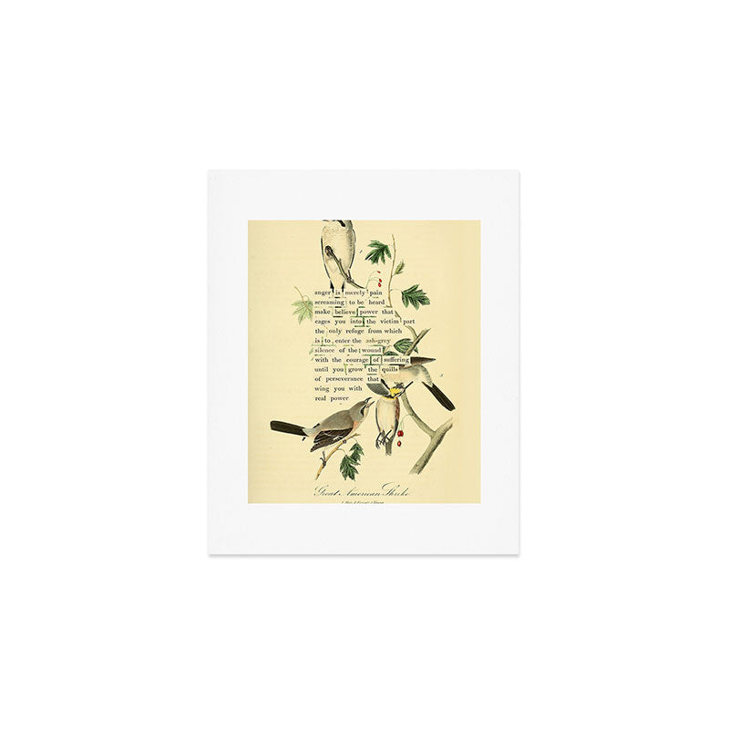 Anger # Great American Shrike Divination from # An Almanac of Birds # Divinations for Uncertain Days Art Print Gallery Image 1