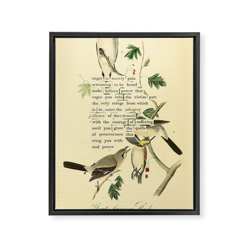 Anger # Great American Shrike Divination from # An Almanac of Birds # Divinations for Uncertain Days Framed Canvas Print Gallery Image 6