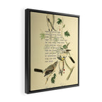 Anger # Great American Shrike Divination from # An Almanac of Birds # Divinations for Uncertain Days Framed Canvas Print Gallery Image 2