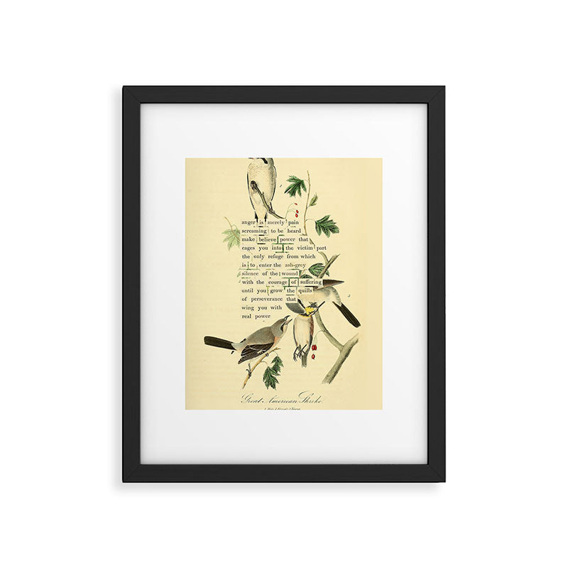 Anger # Great American Shrike Divination from # An Almanac of Birds # Divinations for Uncertain Days Framed Art Print Gallery Image 5