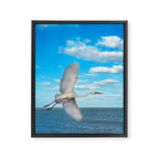 Another Horizon # Great White Heron Framed Canvas Print Gallery Image 6