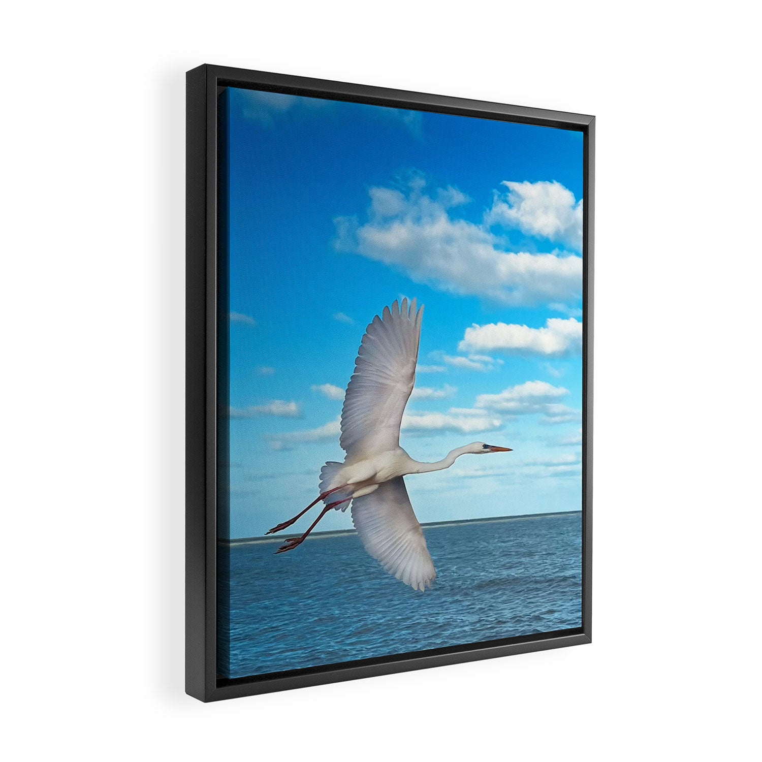 Another Horizon # Great White Heron Framed Canvas Print Gallery Image 2