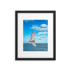 Another Horizon # Great White Heron Framed Art Print Gallery Image 5