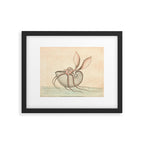 Argonauta Argo octopus (paper nautilus) by Frederick Nodder, 1793 Framed Art Print Gallery Image 5