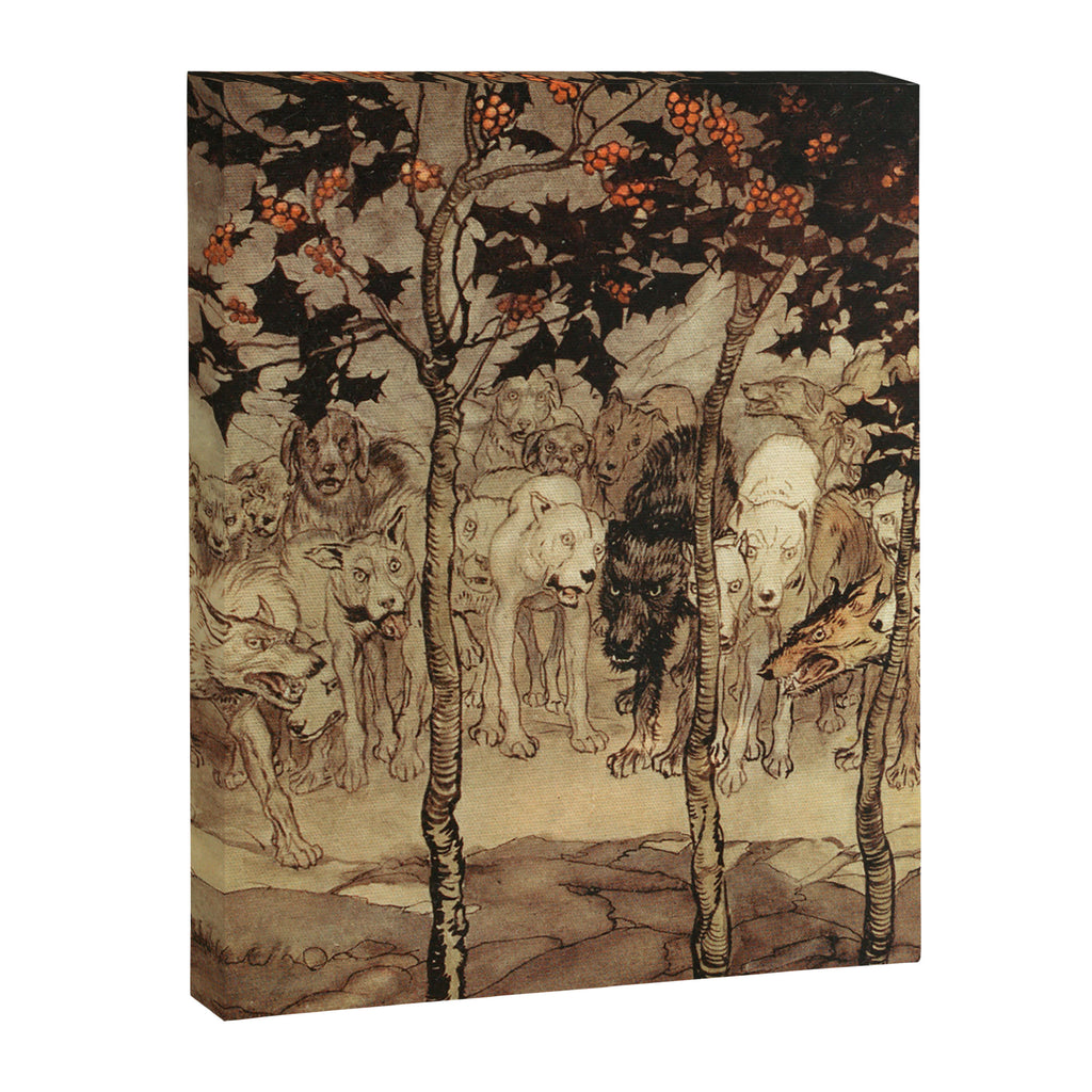 Art by Arthur Rackham for "Irish Fairy Tales," 1920 Canvas Print Gallery Image 6