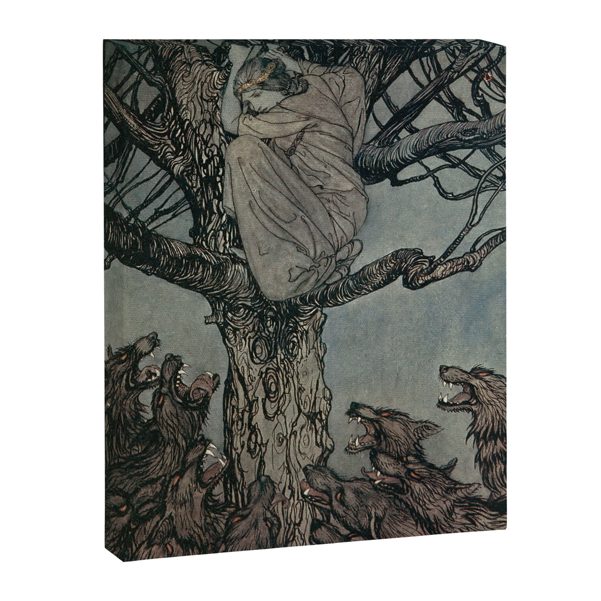 Art by Arthur Rackham for "Irish Fairy Tales," 1920 Canvas Print Gallery Image 6