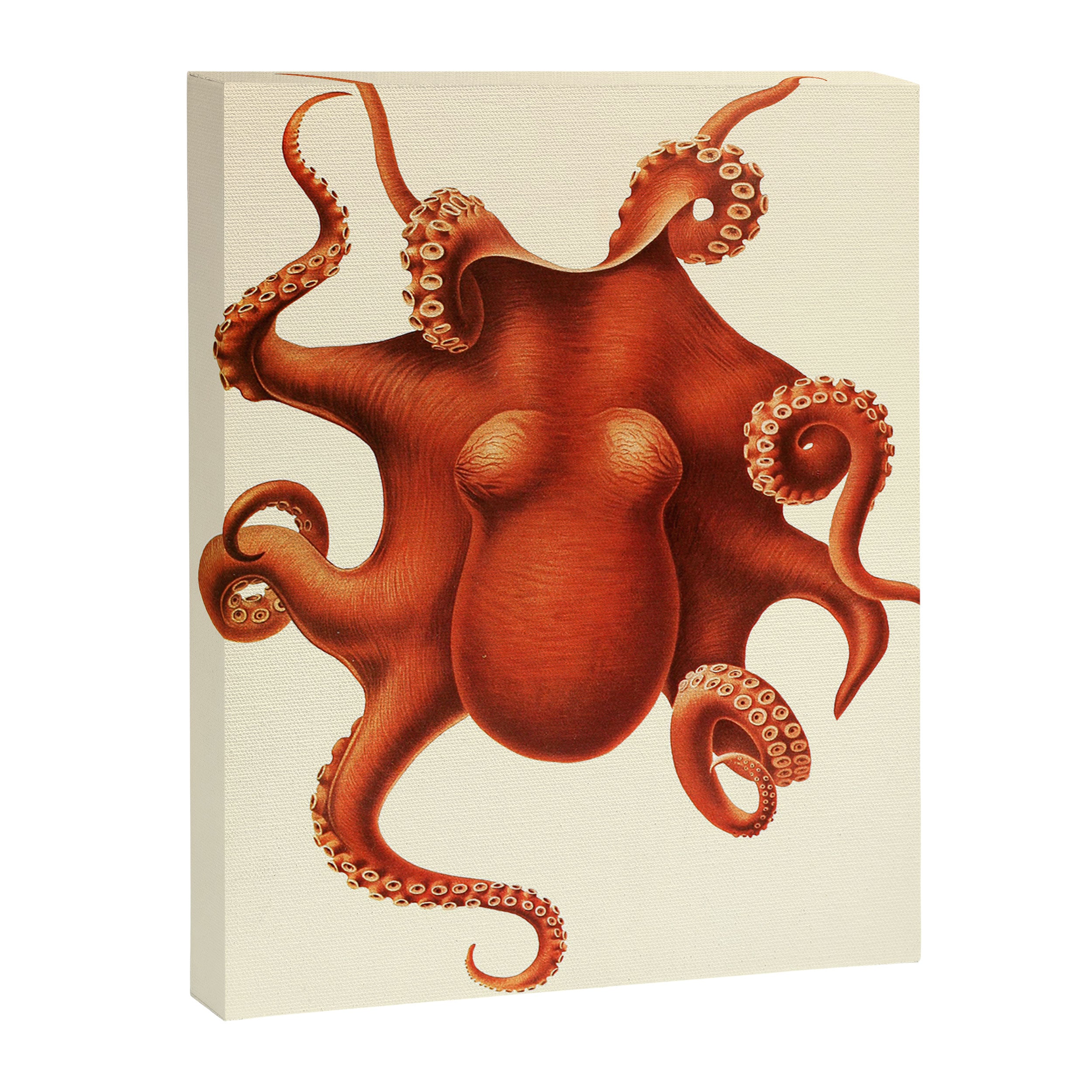Art by Friedrich Wilhelm Winter from "Cephalopod Atlas" by Carl Chun, 1910 (benefitting Greenpeace) Canvas Print Gallery Image 6