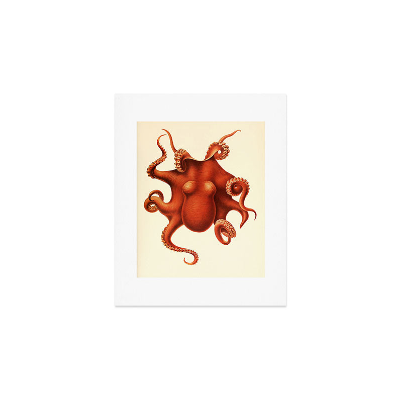 Art by Friedrich Wilhelm Winter from "Cephalopod Atlas" by Carl Chun, 1910 (benefitting Greenpeace) Art Print Gallery Image 1