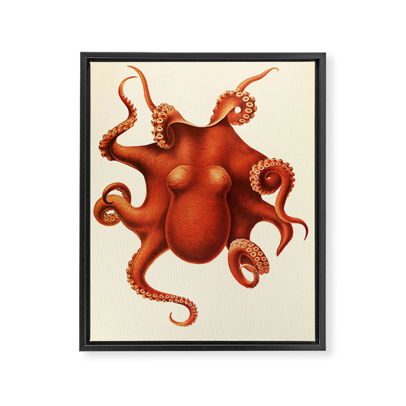 Art by Friedrich Wilhelm Winter from "Cephalopod Atlas" by Carl Chun, 1910 (benefitting Greenpeace) Framed Canvas Print Gallery Image 6