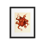 Art by Friedrich Wilhelm Winter from "Cephalopod Atlas" by Carl Chun, 1910 (benefitting Greenpeace) Framed Art Print Gallery Image 5