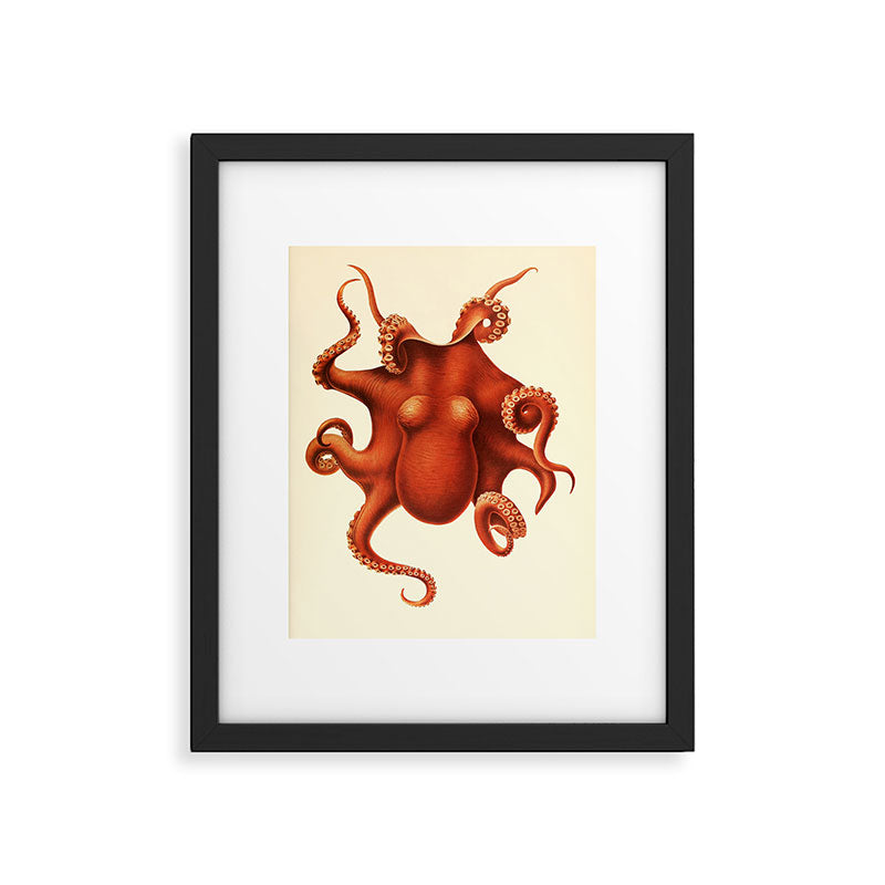 Art by Friedrich Wilhelm Winter from "Cephalopod Atlas" by Carl Chun, 1910 (benefitting Greenpeace) Framed Art Print Gallery Image 5