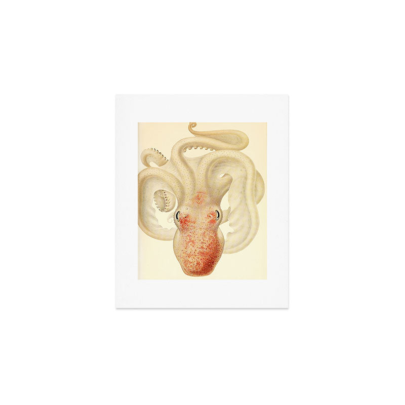Art by Friedrich Wilhelm Winter from "Cephalopod Atlas" by Carl Chun, 1910 (benefitting Greenpeace) Art Print Gallery Image 1