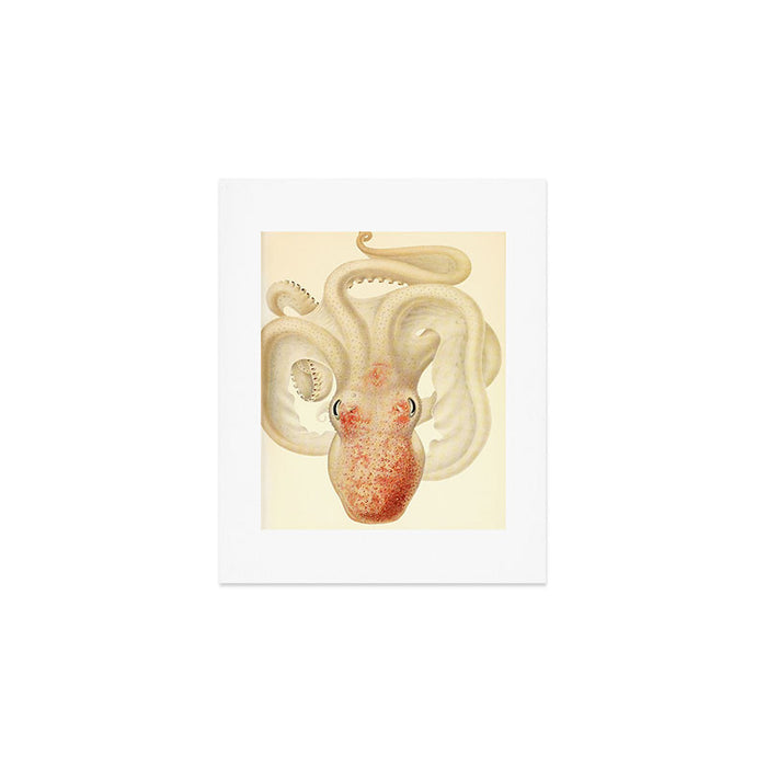 Art by Friedrich Wilhelm Winter from "Cephalopod Atlas" by Carl Chun, 1910 (benefitting Greenpeace) Art Print Gallery Image 1