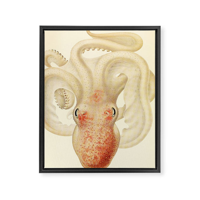 Art by Friedrich Wilhelm Winter from "Cephalopod Atlas" by Carl Chun, 1910 (benefitting Greenpeace) Framed Canvas Print Gallery Image 1