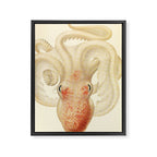 Art by Friedrich Wilhelm Winter from "Cephalopod Atlas" by Carl Chun, 1910 (benefitting Greenpeace) Framed Canvas Print Gallery Image 6