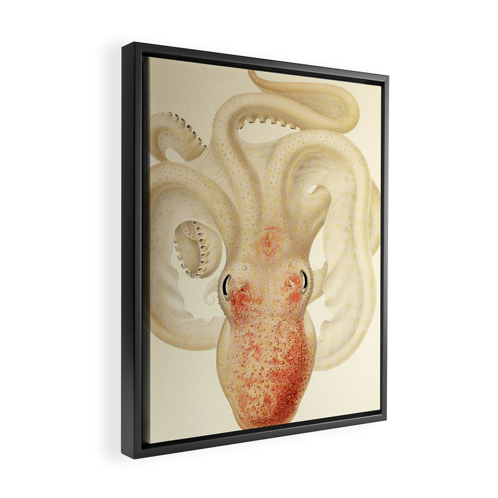 Art by Friedrich Wilhelm Winter from "Cephalopod Atlas" by Carl Chun, 1910 (benefitting Greenpeace) Framed Canvas Print Gallery Image 2