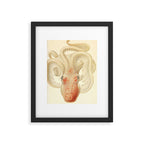 Art by Friedrich Wilhelm Winter from "Cephalopod Atlas" by Carl Chun, 1910 (benefitting Greenpeace) Framed Art Print Gallery Image 5