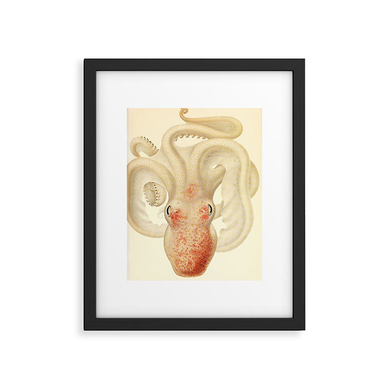 Art by Friedrich Wilhelm Winter from "Cephalopod Atlas" by Carl Chun, 1910 (benefitting Greenpeace) Framed Art Print Gallery Image 5