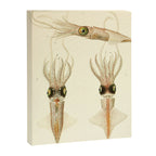 Art by Friedrich Wilhelm Winter from "Cephalopod Atlas" by Carl Chun, 1910 (benefitting Greenpeace) Canvas Print Gallery Image 6
