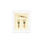 Art by Friedrich Wilhelm Winter from "Cephalopod Atlas" by Carl Chun, 1910 (benefitting Greenpeace) Art Print Gallery Image 1