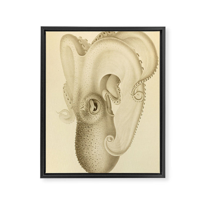 Art by Friedrich Wilhelm Winter from "Cephalopod Atlas" by Carl Chun, 1910 (benefitting Greenpeace) Framed Canvas Print Gallery Image 1