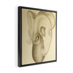 Art by Friedrich Wilhelm Winter from "Cephalopod Atlas" by Carl Chun, 1910 (benefitting Greenpeace) Framed Canvas Print Gallery Image 2