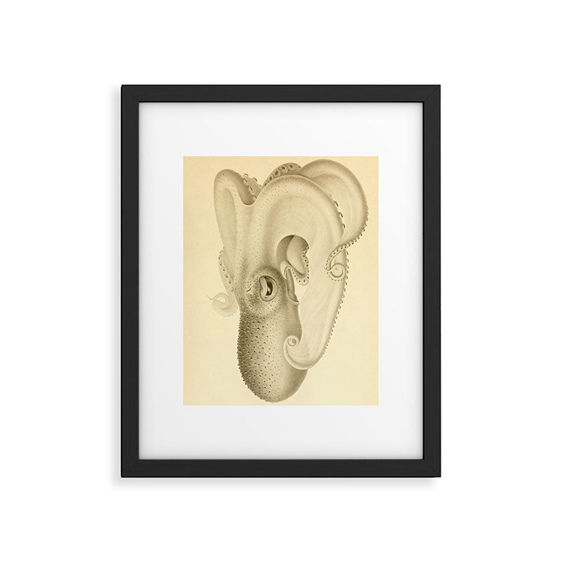 Art by Friedrich Wilhelm Winter from "Cephalopod Atlas" by Carl Chun, 1910 (benefitting Greenpeace) Framed Art Print Gallery Image 5