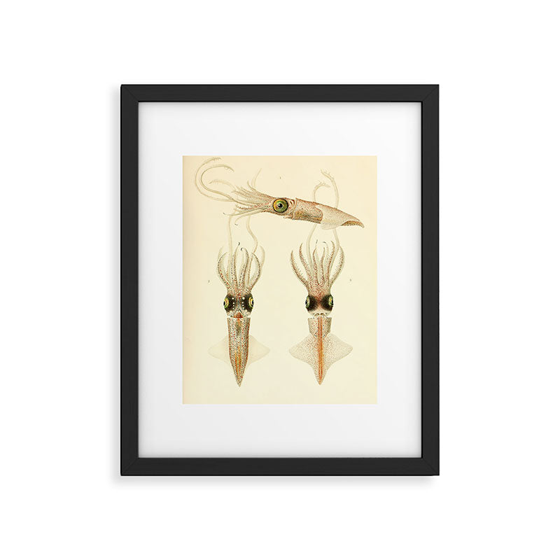 Art by Friedrich Wilhelm Winter from "Cephalopod Atlas" by Carl Chun, 1910 (benefitting Greenpeace) Framed Art Print Gallery Image 5