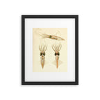 Art by Friedrich Wilhelm Winter from "Cephalopod Atlas" by Carl Chun, 1910 (benefitting Greenpeace) Framed Art Print Gallery Image 5