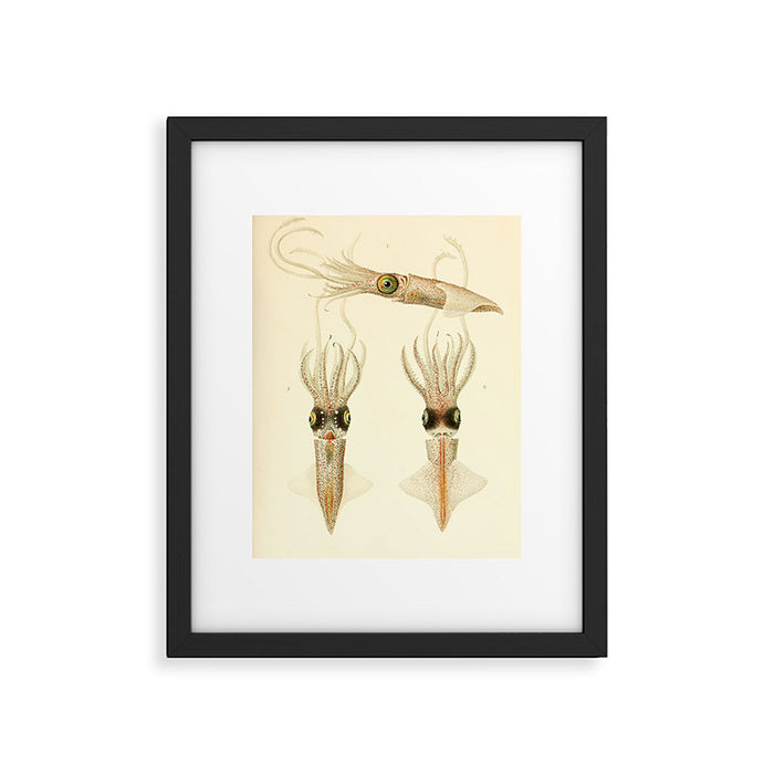 Art by Friedrich Wilhelm Winter from "Cephalopod Atlas" by Carl Chun, 1910 (benefitting Greenpeace) Framed Art Print Gallery Image 1