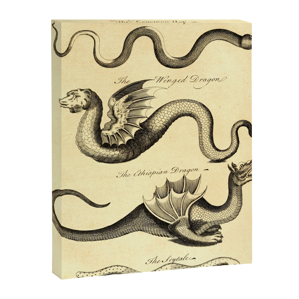 Art from "An Essay Toward a Natural History of Serpents" (1742) Canvas Print Gallery Image 6