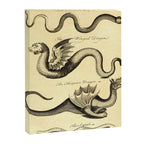 Art from "An Essay Toward a Natural History of Serpents" (1742) Canvas Print Gallery Image 6